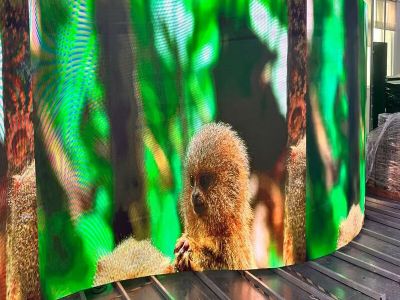 Cancave and Canvex LED Rental Wall Screen for Event and Show